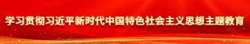 骚鸡巴插烂穴视频学习贯彻习近平新时代中国特色社会主义思想主题教育